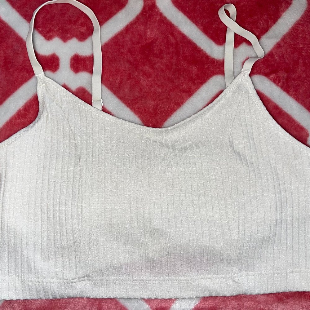 aerie size L bralette